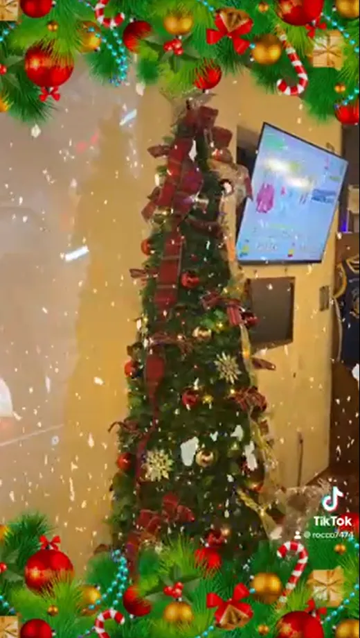 クリスマスツリー登場！